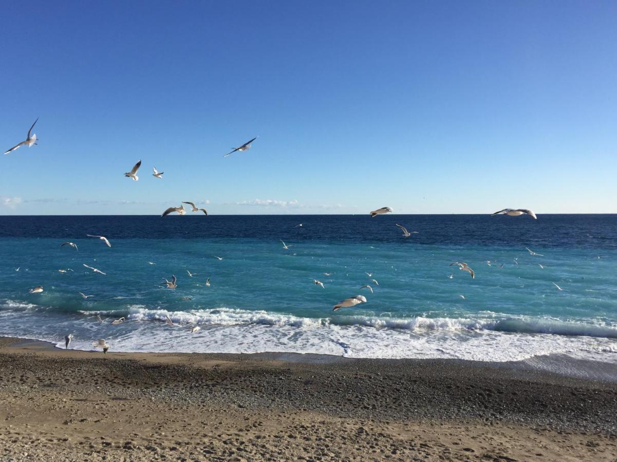 Palais Elisabeth Promenade Des Anglais Nice Dış mekan fotoğraf